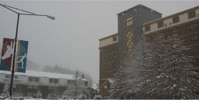 Wisp Resort Hotel And Conference Center McHenry Eksteriør billede